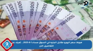 هبوط سعر اليورو مقابل الجنيه في السوق مساء 1-8-2025.. تعرف على التفاصيل الآن